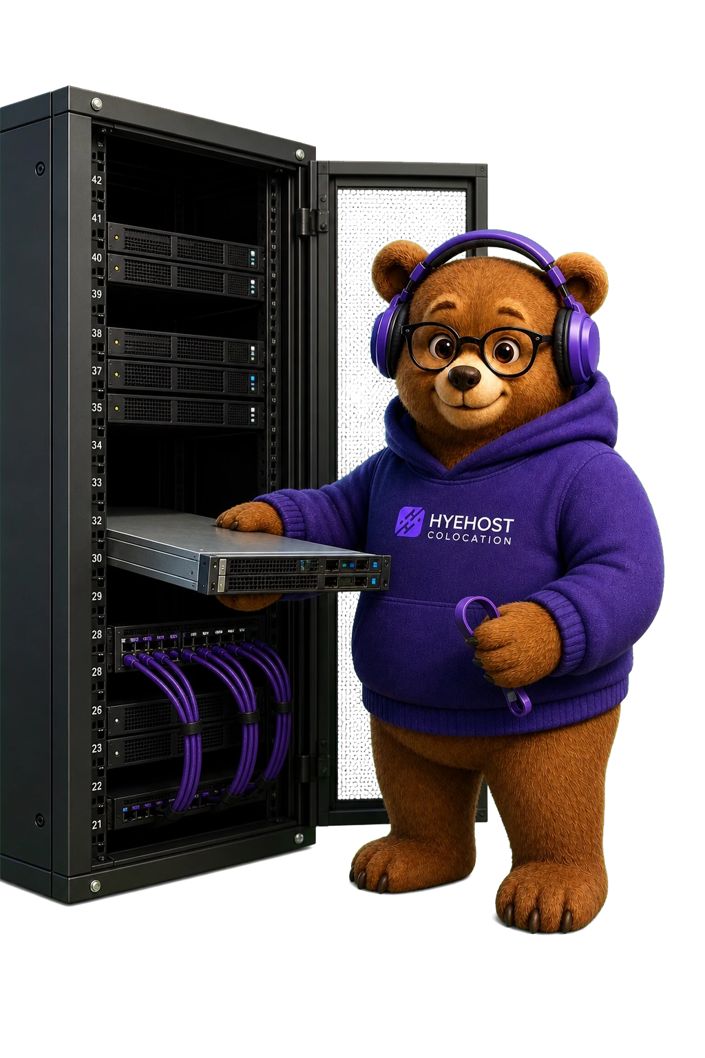 HYEHOST colocation mascot with server hardware